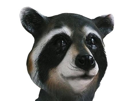 raccoon mask mistermasknl