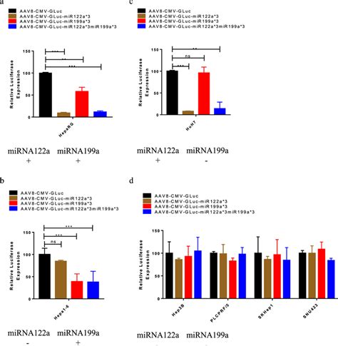 Adeno Associated Virus Mediated Delivery Of Dual Post Transcriptionally