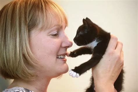 Rspca Having Kittens Over Abandoned Cat Crisis Manchester Evening News