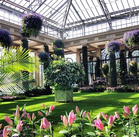 DAILY VACATIONER: Longwood Gardens: Orchid Extravaganza