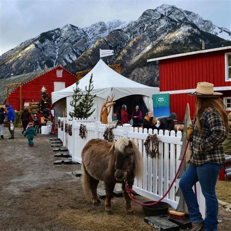 7 Enchanting Canadian Christmas Markets You Need to Visit | Busbud blog