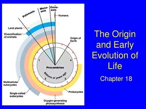 Ppt The Origin And Early Evolution Of Life Powerpoint Presentation Id6052757