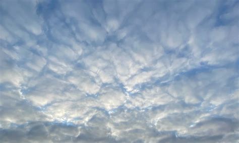 Tourists are loving the average weather in san diego this month 10