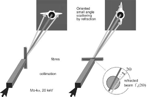 Figure 1 From Synchrotron Refraktions Computertomografie Eine Neue