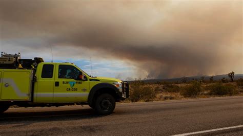 Video Calor Extremo Provocó Remolinos De Fuego En Una Reserva