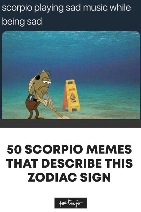 Best Scorpio Memes That Describe This Zodiac Sign Zodiac Signs