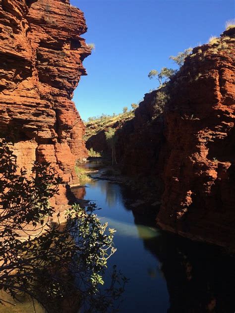 Flickriver: Recent photos from Wittenoom Gorge, Western Australia ...