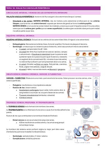 Fisiologia I Fisiopatologia Ii Tema Pdf