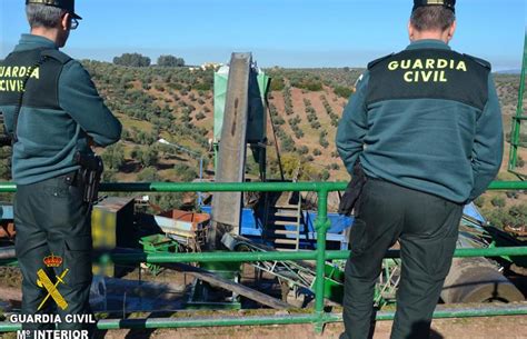 La Guardia Civil Activa El Dispositivo Especial Para La Prevención De Robos De Aceituna En La