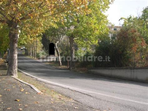 Asta Per Terreno Agricolo Loc Piantata Di Sopra Cantalupo In Sabina