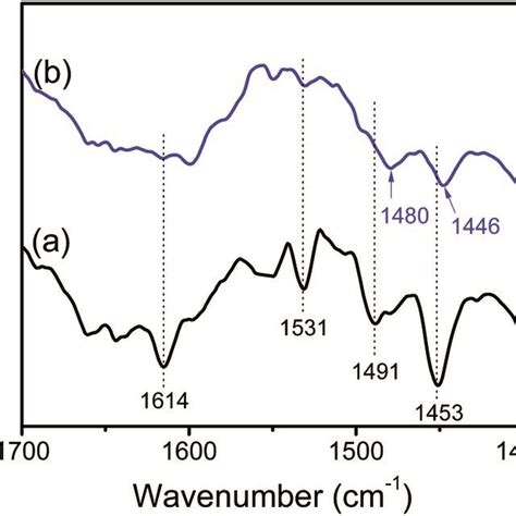 Pyridine Adsorption Ir Spectra Of A Sno Sba And B Hl Sno Sba