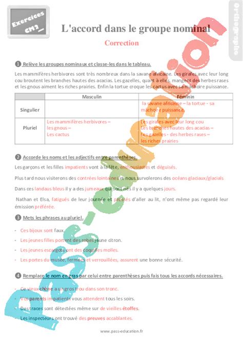 Exercices R Visions Sur L Accord Dans Le Groupe Nominal Au Cm Avec