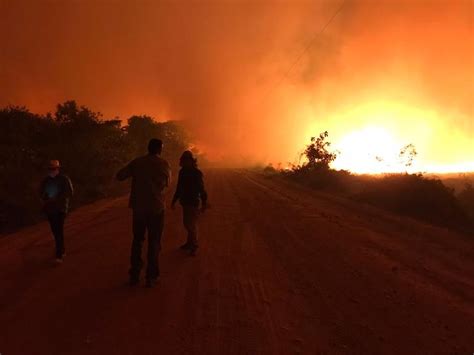 Quase Milh Es De Animais Morreram Nos Inc Ndios De No Pantanal