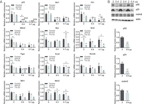 (A) Selective regulation of target gene expression by different levels ...