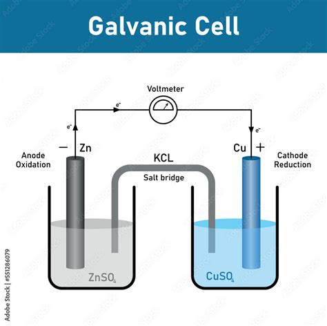 Electrochemical Cell Diagram Galvanic Cell Or Voltaic Cell Zinc Anode And Copper Cathode