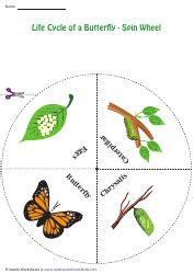 Butterfly Life Cycle Spin Wheel Download Printable PDF | Templateroller