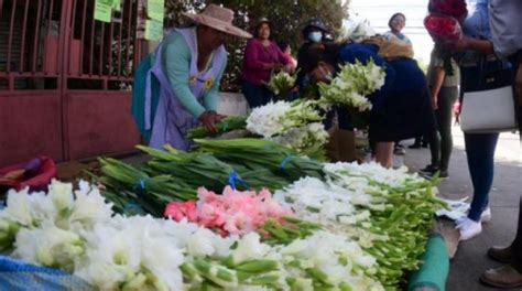 Floricultores De Cochabamba Registran Pérdidas De Bs 25 Millones Por