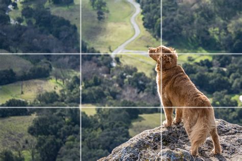 Photos Using Rule Of Thirds