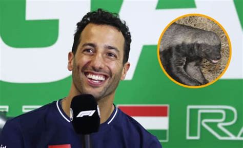 How Daniel Ricciardo Earned His Honey Badger Reputation Motor Sport