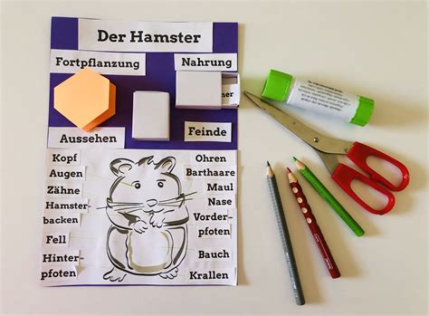 Projekt Haustiere Lapbook Hamster Grundschule Und Basteln