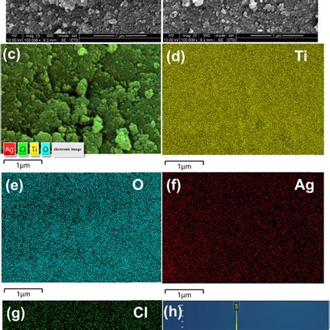 Sem Images Of Arb A Ag Agclarb B Element Mappings Cg And Eds