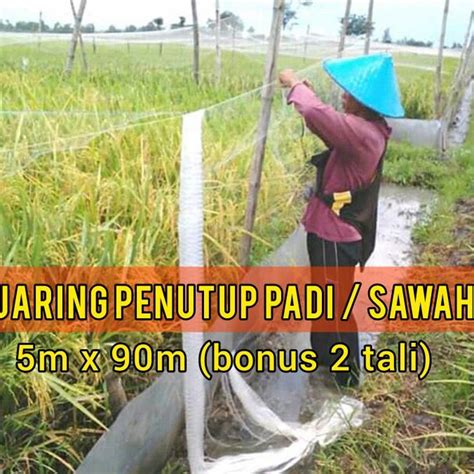 Jual BARU JARING PADI JARING EMPRIT JARING PIPIT JARING