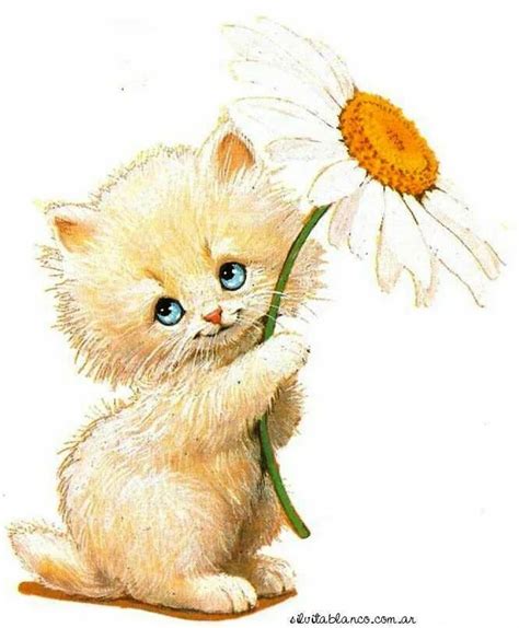 Create meme "cat with flowers , kitten with flowers, cat " - Pictures ...