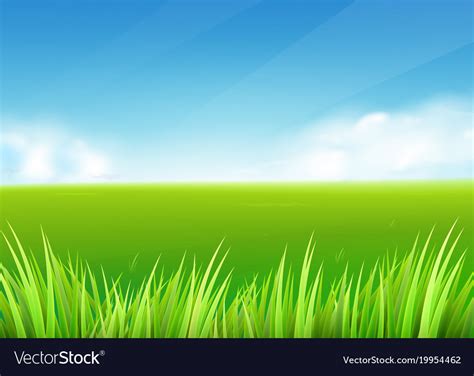 Meadow field summer or spring nature background Vector Image