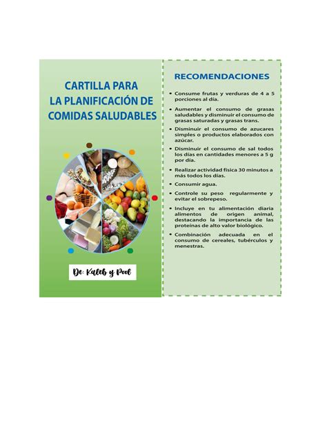 Cartilla Sobre Recomendaciones De Una Alimentacion Saludable Ciencias