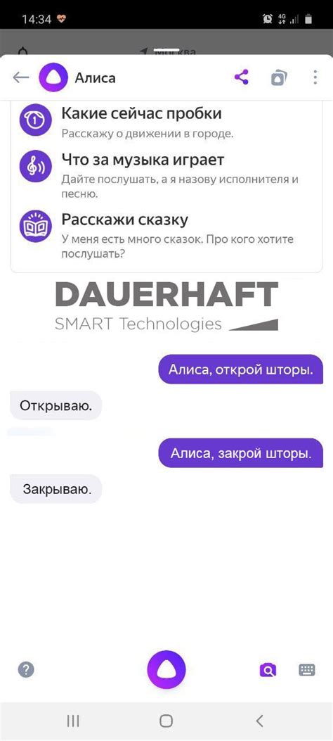 Электрокарнизы Dauerhaft с Алисой голосовое управление