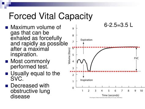 Ppt Pulmonary Function Measurements Powerpoint Presentation Free