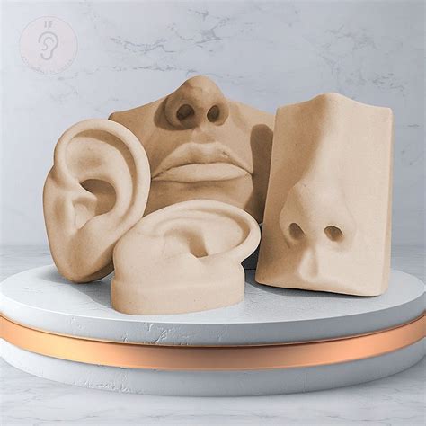Kit Expositor Orelha Oval Nariz Boca Nude Expositores De Silicone