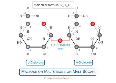 maltose sugar