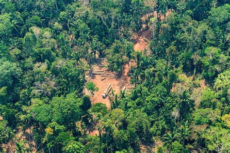 Uma A Cada Cinco Mortes Violentas Registradas No Brasil Em 2022