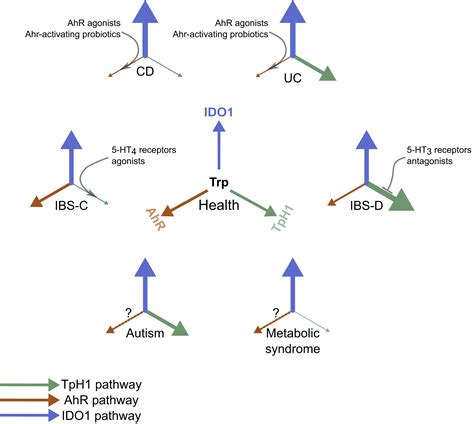 Gut Microbiota Regulation Of Tryptophan Metabolism In Health And Disease Cell Host And Microbe