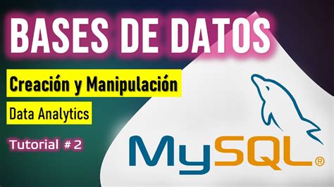 Guía Completa Del Tipo De Dato Serial En Mysql Mysql Ya