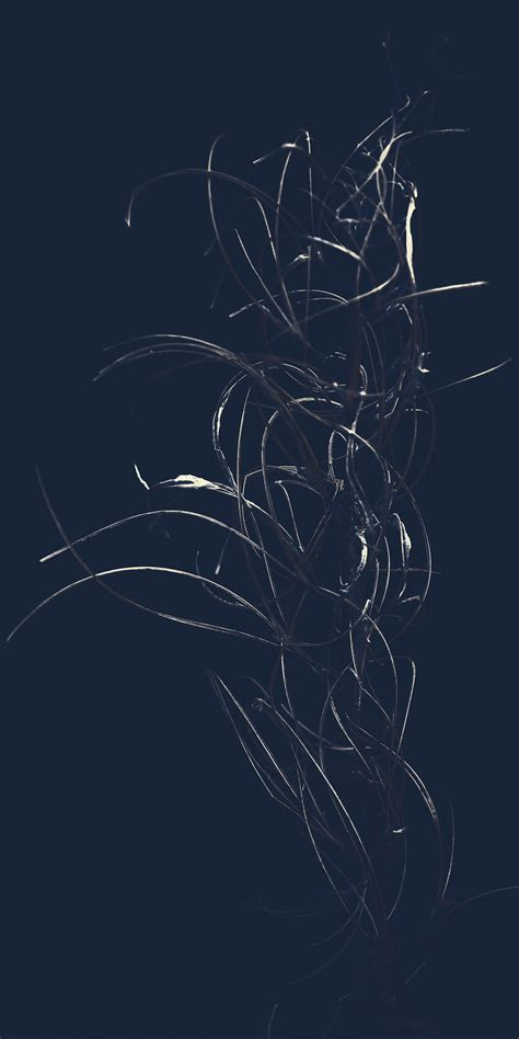 rosebay willowherb :: Behance