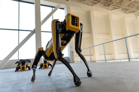 Spot O Impressionante Cão Robô Da Boston Dynamics Já Está à Venda • Ciência • Tecnoblog