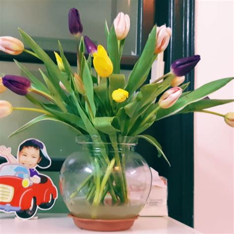 Son môi màu nude Teddy Shopee Việt Nam