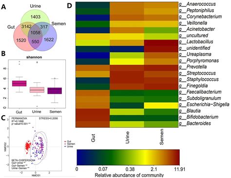 Frontiers Characterization Of The Semen Gut And Urine Microbiota In