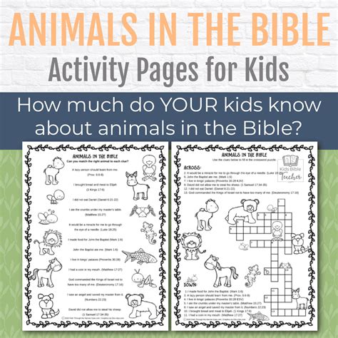 Animals In The Bible Activity Pages Kids Bible Teacher