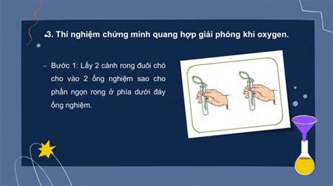 Tải Giáo án Powerpoint Khtn 7 Kntt Bài 24 Thực Hành Chứng Minh Quang Hợp ở Cây Xanh