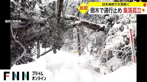 日本海側で相次ぐ大雪の影響 倒木で通行止め 集落孤立 News Wacoca Japan People Life Style