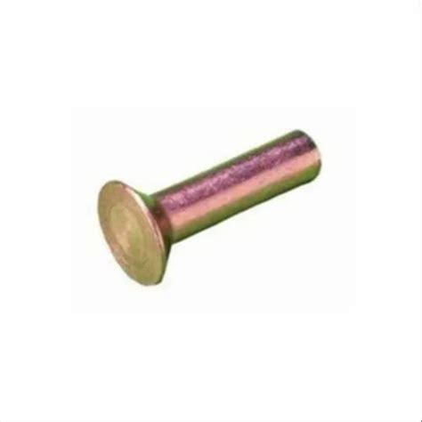 Brass Round Head Rivet Packaging Type Box At Rs 220 Kilogram In