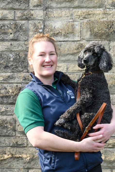 Synchronizing Sheep A Guide To Successful Lambing Sheptonvets