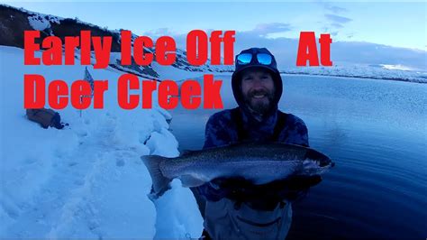 Early Ice Off Fly Fishing Action At Deer Creek Reservoir Youtube