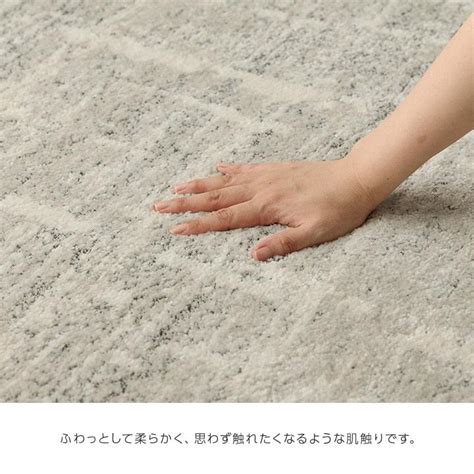 ラグ カーペット ウィルトン織 タック 約140×200cm 1 5畳 おしゃれ ベルギー製 ラグマット センターラグ 絨毯 抗菌防臭 消臭 北欧 シンプル 可愛い 9814498 アイズ