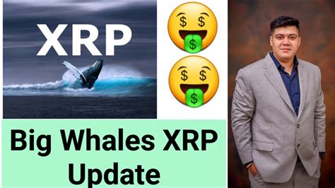 Xrp Update I Ripple Update I Million Worth Of Xrp Transfers I