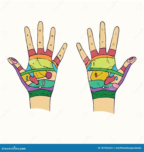 Esquema De Reflexología De Mano Con Zonas De Colores Boceto Dibujado A Mano En Estilo De Arte