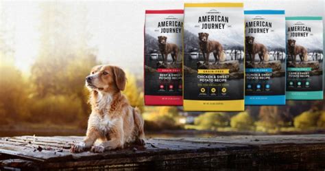 The 10 Best American Journey Dog Foods